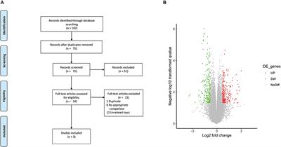 In silico Analysis Excavates A Novel Competing Endogenous RNA Subnetwork in Adolescent Idiopathic Scoliosis